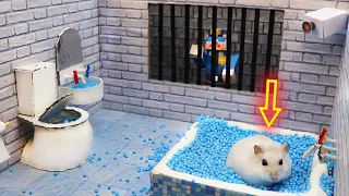 🐹Hamster Escapes the Awesome 5-Star Luxury Prison Maze with Bathtub🐹 for Pets in real life