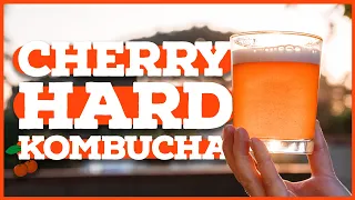 HARD KOMBUCHA: How to Make Kombucha With Alcohol