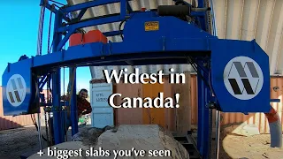 Sawing with the Widest Sawmill in Canada ! | Slabwood Size You've Never Seen!