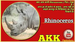 Rhinoceros | Kanpur Zoo | Anil Kumar Kanpurg