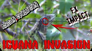 FX Impact Vs. Iguanas | Yellow TRACER Rounds | Airgun Evolution