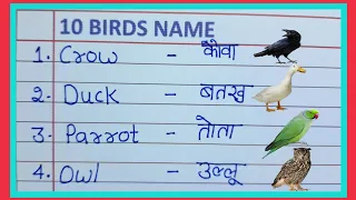 10Birds Name English and Hindi||Birds Name||पक्षियों के नाम