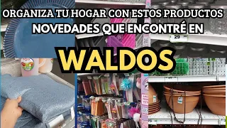 Novedades en Waldos