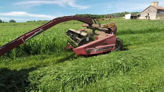 Mowing 2nd Crop Sudangrass | July 2020