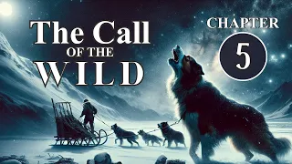 Chapter 5 Summary & Analysis of 'The Call of the Wild' by Jack London