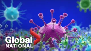 Global National: Nov. 29, 2021 | Immunologist "not panicked" as Canada confirms 1st cases of Omicron