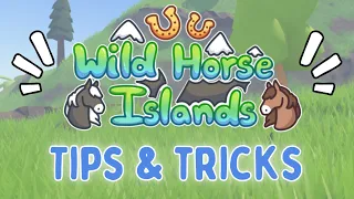 Top 5 *TIPS & TRICKS* Every Wild Horse Islands Player Should Know