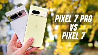 Google Pixel 7 vs 7 Pro : Lequel choisir ?