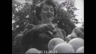 Citrus Fruit Delivery and Marketing in the 1950s - Film 1015130