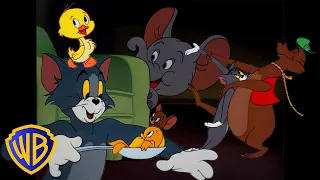 Tom y Jerry en Latino | ¡Todos los animales de Tom y Jerry! 🐣🐭 | El mes del animal |  @WBKidsLatino