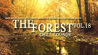 The Forest Chill Lounge Vol.18 (Smooth Ambient & Chillout Tunes) Continuous DJ Mix (4K)