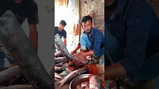 Amazing 😱 Rui Fish Cutting Live In Bnagladesh #shorts #fh_fish_cutting