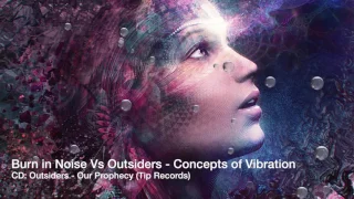 Burn in Noise Vs Outsiders   Concepts of Vibration