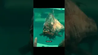 Piranha 3D (2010) Piranha movie scene clip 🎬#moviescenes