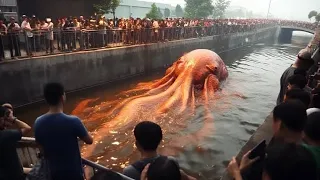 Momentos Que Se NÃO Fossem Filmados Ninguém Acreditaria