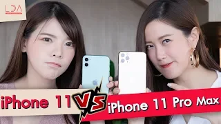ซื้ออะไรดี? iPhone 11 VS iPhone 11 Pro Max ใช้จริงแล้วเป็นไง! | LDA เฟื่องลดา