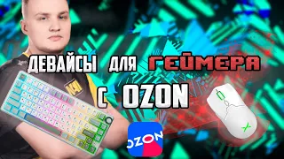 ДЕВАЙСЫ для ГЕЙМЕРА с OZON | Клавиатура ROYAL KLUDGE, Игровая мышь.