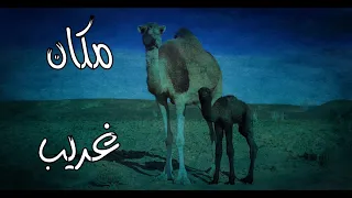 (ق479) مكان جديد وكان للجن وكانت المفاجئة احداث غريبة #قصص_واقعية #حقيقية #قصص #قصة #جن‪#‬رعب