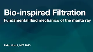 Peko Hosoi: Bio-inspired Filtration: Fundamental Fluid Mechanics of the Manta Ray