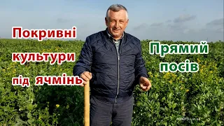 Покривні культури під посів ярого ячменю у Ігоря Шайноги. Прямий посів. No-till.