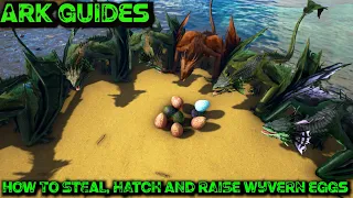 The Ultimate Guide To Stealing Wyvern Eggs AND How To Hatch And Raise Them - Ark Guides