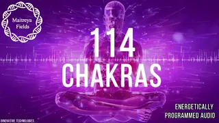 114 Chakra Harmony & Energy Flow: Maitreya Reiki™ / Energetically Programmed Audio