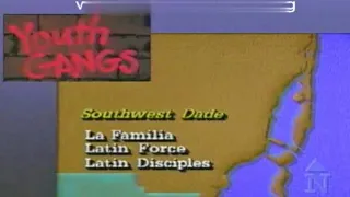 Youth Gangs ☆ Florida News 1988