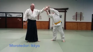 Basic Aikido Techniques - Morotedori Techniques