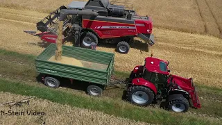 Getreideernte 2022 ( Braugerste ) Massey Ferguson 7345s Activa / 2x Case