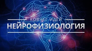 САМЫЕ ВАЖНЫЕ ИДЕИ О МОЗГЕ | КОВЧЕГ ИДЕЙ