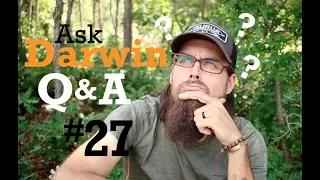 Ask Darwin Q&A #27 (Answers)