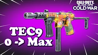 Best LOW LEVEL TEC-9 Class Progression | OVERPOWERED TEC-9 Class in Cold War