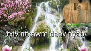 Zaj dab neeg: txiv ntxawm deev nyab