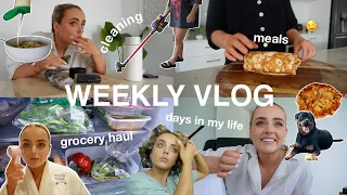 WEEKLY VLOG | days in my life | GROCERY HAUL | MEALS | CLEANING | charlie | Conagh Kathleen