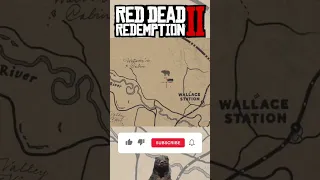 Grin and Bear it achievement #rdr2 #reddeadredemtion2 #shorts #short