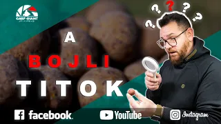 Pontyhorgászat józanul - A bojli titok