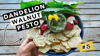 Wild Edibles Test Kitchen: Dandelion Walnut Pesto