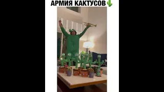 Армия кактусов /Шел третий год карантина