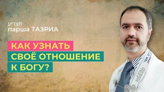 Шаббат 13 апреля 2024 ✡ Как узнать своё отношение к Богу? ✡ Парша Тазриа