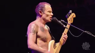 Red Hot Chili Peppers - Scar Tissue  -  Lollapalooza Chicago 2016 HD