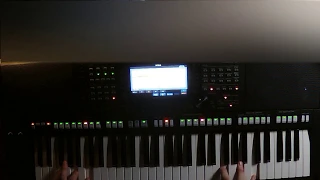 Yamaha PSR s775 Розенбаум Утки