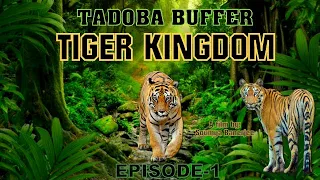 INTO THE HEART OF TADOBA BUFFER TIGER RESERVE-  EPISODE -1 | A Visual Journey|  |Tiger Sighting |