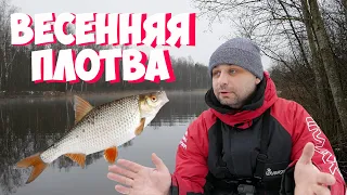 Ловля весенней плотвы. Крупная плотва на фидер весной. Удачное начало сезона.