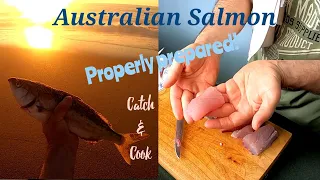 Australian Salmon. Preparation is key. Catch n Cook. Ep51