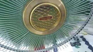 Fans Toshiba