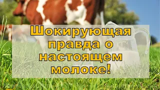 Часть № 8. Питание. Мудрые традиции предков - ключ к отличному здоровью!