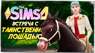 ВСТРЕТИЛИ РЕДКУЮ ЛОШАДЬ // КОННОЕ РАНЧО ФОКСОВ СИМС 4! // The Sims 4 Horse Ranch