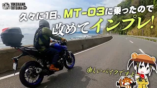 MT-03で伊豆を走り回ったら楽しかった…  改めてインプレッション！byYSP横浜戸塚