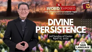 DIVINE PERSISTENCE  |  The Word Exposed with Cardinal Tagle (April 14, 2024)