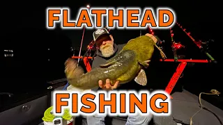 Flathead Fishing Live